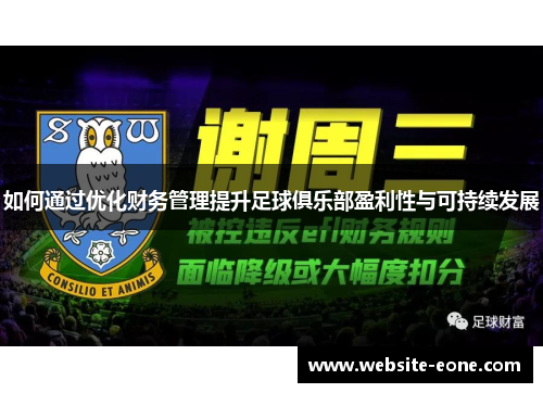 如何通过优化财务管理提升足球俱乐部盈利性与可持续发展