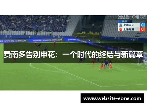 费南多告别申花：一个时代的终结与新篇章