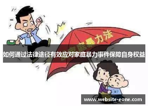 如何通过法律途径有效应对家庭暴力事件保障自身权益