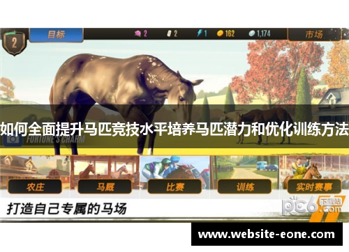 如何全面提升马匹竞技水平培养马匹潜力和优化训练方法