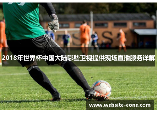 2018年世界杯中国大陆哪些卫视提供现场直播服务详解